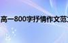 高一800字抒情作文范文 高一800字抒情作文