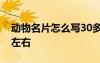 动物名片怎么写30多字 动物名片作文100字左右