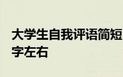 大学生自我评语简短30字 大学生自我评价50字左右