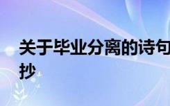 关于毕业分离的诗句 毕业分离的优美句子摘抄