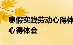 寒假实践劳动心得体会怎么写 寒假实践劳动心得体会