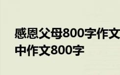 感恩父母800字作文大全高中生 感恩父母高中作文800字