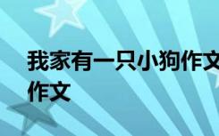 我家有一只小狗作文100字 我家有一只小狗作文