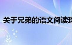 关于兄弟的语文阅读理解 《兄弟》阅读答案