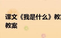 课文《我是什么》教案反思 课文《我是什么》教案