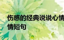 伤感的经典说说心情短语 伤感的句子说说心情短句