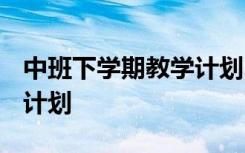 中班下学期教学计划2024年 中班下学期教学计划