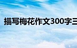 描写梅花作文300字三年级的 描写梅花作文