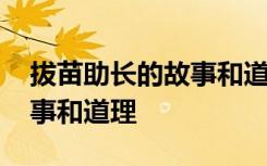 拔苗助长的故事和道理二年级 拔苗助长的故事和道理