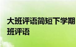 大班评语简短下学期 大班学期评语-幼儿园大班评语