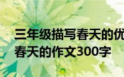 三年级描写春天的优秀作文 小学三年级描写春天的作文300字