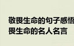 敬畏生命的句子感悟珍惜生命的说说 珍惜敬畏生命的名人名言