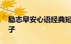 励志早安心语经典短句 经典励志早安心语句子