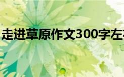 走进草原作文300字左右 走进草原作文300字