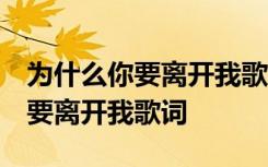 为什么你要离开我歌词 贺一航 欢子为什么你要离开我歌词