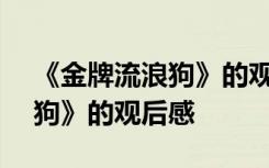 《金牌流浪狗》的观后感300字 《金牌流浪狗》的观后感