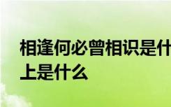 相逢何必曾相识是什么生肖 相逢何必曾相识上是什么