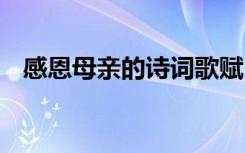 感恩母亲的诗词歌赋 感恩母亲的著名诗歌