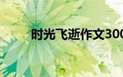 时光飞逝作文300字 时光飞逝作文