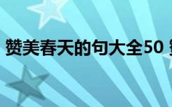 赞美春天的句大全50 赞美春天的句子短一点