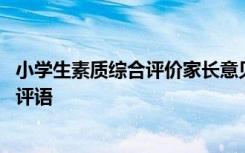 小学生素质综合评价家长意见 小学生素质综合评价手册家长评语