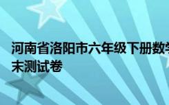 河南省洛阳市六年级下册数学期末测试卷 六年级下册数学期末测试卷