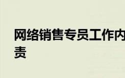 网络销售专员工作内容 网络销售专员工作职责