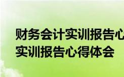 财务会计实训报告心得体会500字 财务会计实训报告心得体会