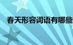 春天形容词语有哪些成语 春天形容的词语