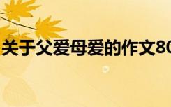 关于父爱母爱的作文800字 母爱的作文800字