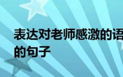 表达对老师感激的语句 表达对老师感激之情的句子