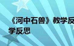 《河中石兽》教学反思简短 《河中石兽》教学反思