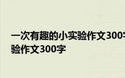 一次有趣的小实验作文300字有4个自然段 一次有趣的小实验作文300字