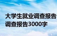 大学生就业调查报告3000字范文 大学生就业调查报告3000字