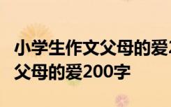 小学生作文父母的爱200至300字 小学生作文父母的爱200字