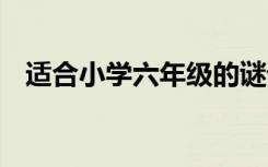 适合小学六年级的谜语 六年级小学生谜语