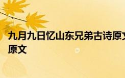 九月九日忆山东兄弟古诗原文图片 九月九日忆山东兄弟古诗原文