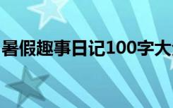 暑假趣事日记100字大全 暑假趣事日记100字