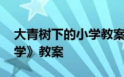 大青树下的小学教案一等奖 《大青树下的小学》教案