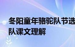 冬阳童年骆驼队节选阅读答案 冬阳童年骆驼队课文理解