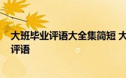 大班毕业评语大全集简短 大班毕业记录册评语-幼儿园大班评语