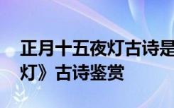 正月十五夜灯古诗是什么节日 《正月十五夜灯》古诗鉴赏