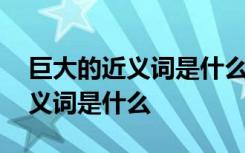 巨大的近义词是什么反义词是什么 巨大的近义词是什么