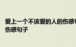 爱上一个不该爱的人的伤感句子大全 爱上一个不该爱的人的伤感句子