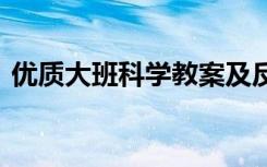 优质大班科学教案及反思 优质大班科学教案