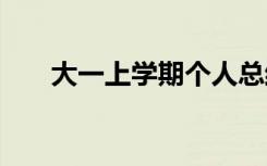 大一上学期个人总结 对上学期的总结