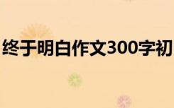 终于明白作文300字初中 终于明白作文300字