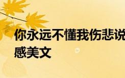 你永远不懂我伤悲说说 你永远不懂我伤悲情感美文