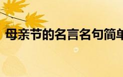 母亲节的名言名句简单少字 于母亲节的名言