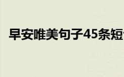 早安唯美句子45条短句 早安唯美句子45条